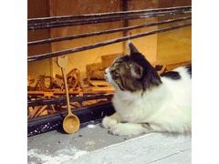 -五月木作·DIY木作文创体验店(北京路店)