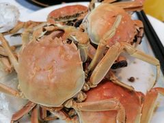 -半岛听涛蒸汽海鲜自助(K11店)