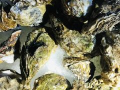 -星伦多自助料理(华润万象城店)