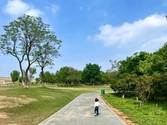 -盘龙城遗址博物院