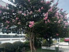 -香雪海饭店中餐厅(人民桥店)