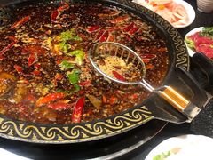 -一斗火锅·招财羊毛肚(泰吉滨江店)