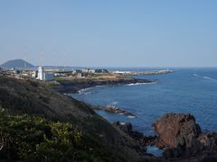 -涉地可支