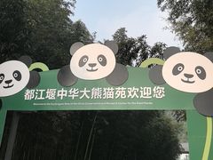 -都江堰中华大熊猫苑