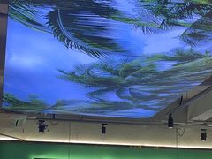 -探窝·竹笙椰子鸡(杨箕店)