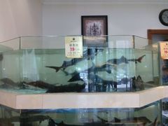 -西贝海鲜汇(槐安路店)