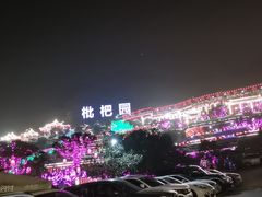 -枇杷园食为鲜火锅(南山店)