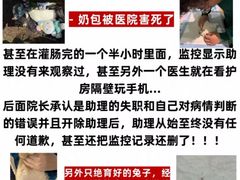 -雨林宠物医院 非犬猫异宠专科