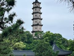 -江心屿景区