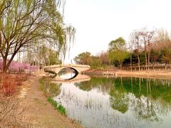 -大兴滨河森林公园