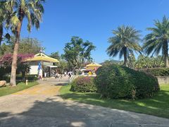 -创味·民间海南菜·非遗藤桥排骨(藤桥·免税城店)