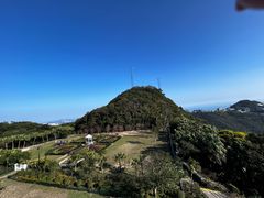 -太平山顶