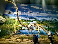 -自贡恐龙博物馆