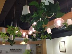 -柴务处·柴犬主题狗咖