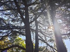 -国家植物园南园