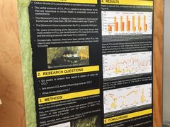 Waitomo&nbsp;Glowworm&nbsp;Caves-怀托摩萤火虫洞