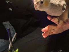 -鸡尾酒实验室酒吧(隆礼路店)