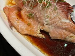 -金汇酒楼(中山东区店)