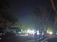 -万绿园