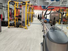 -健身专家Wellness Experts