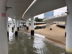 -演武大桥观景平台