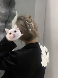 -TOP HAIR SALON