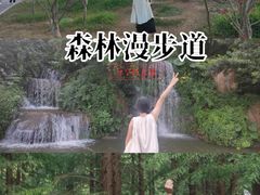 -广州市帽峰山景区