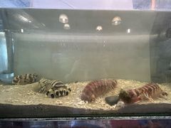 -大树下海鲜饭店