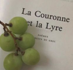 -Cici Nail日式美甲美睫工作室