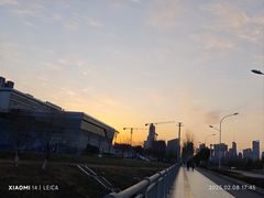 -合肥滨湖国家森林公园