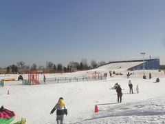 -绿野森林乐园冰雪季
