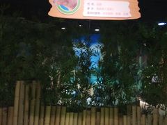 -萌宠奇缘