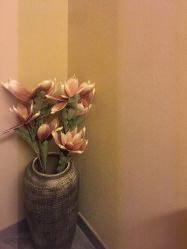 -松和日式美容整骨