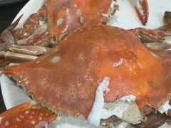 清蒸小娘蟹-红灯笼龙凤饭店(宁波老字号店)