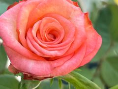 -安徽医科大学第一附属医院(绩溪路院区)