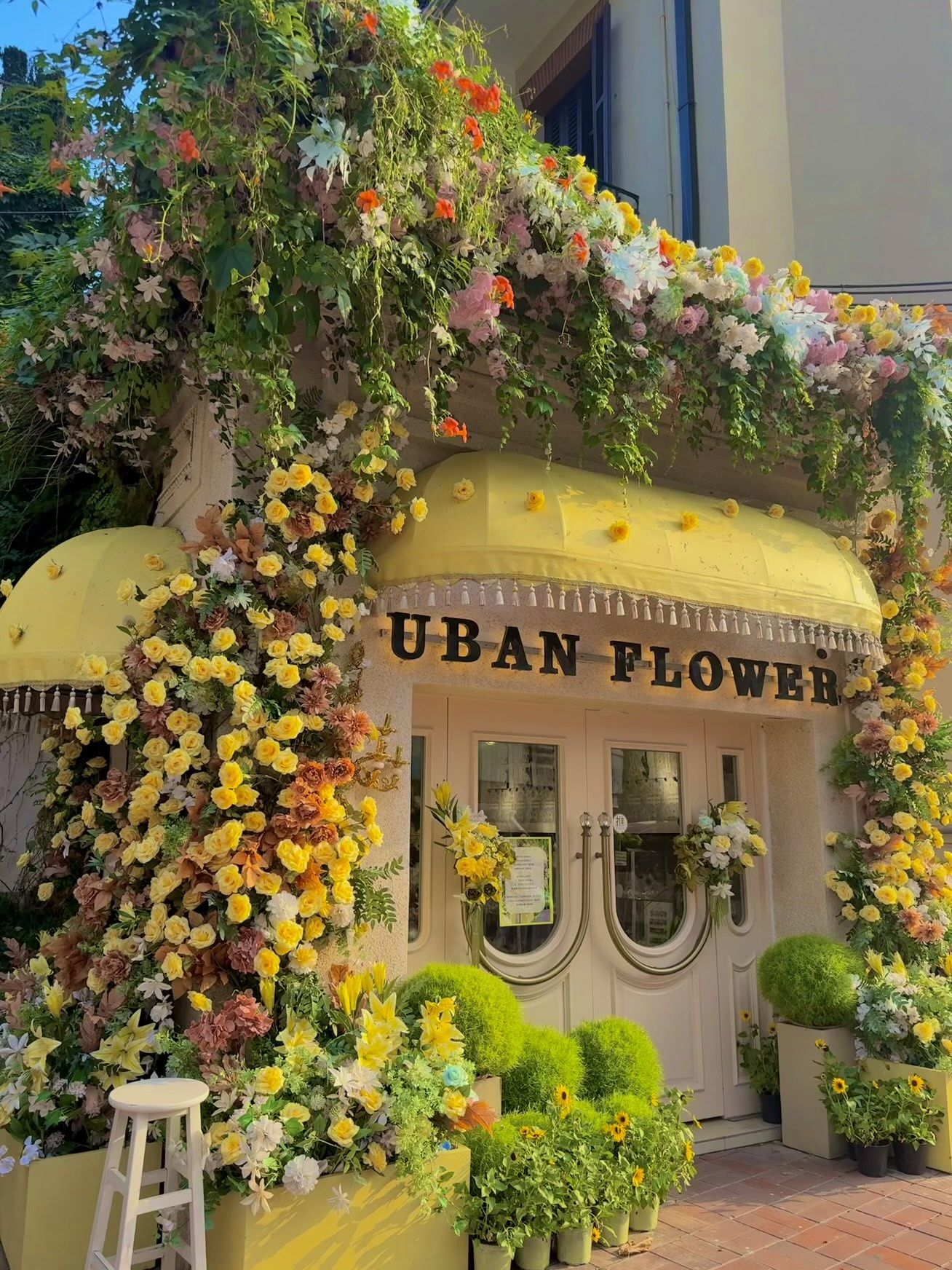 上海网红花店新皮肤🌼黄玫瑰美哭了￼