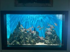 -海合安武汉极地海洋公园