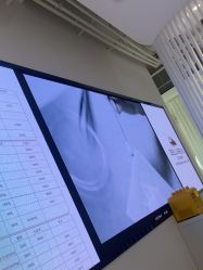 -BELLAREAL新美社