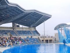 -上海海昌海洋公园