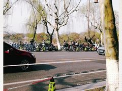 -西湖外事游船(花港观鱼码头)