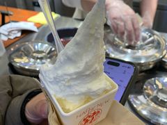 -野人先生Gelato(上海长宁龙之梦店)