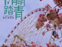 -顾村公园