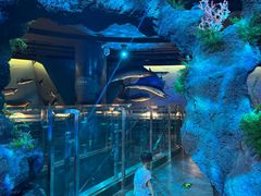 -陕西自然博物馆