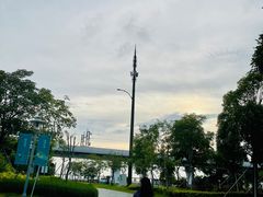 -宝安西湾红树林湿地公园