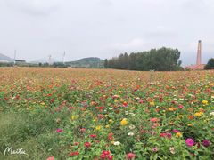 -西海岸生态观光园
