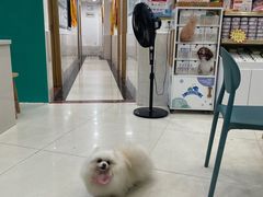 -乐琪宠物医院·犬猫专科·骨外科·急重症