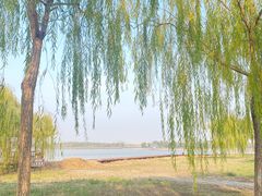 -西青郊野公园