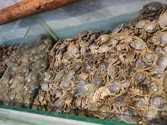 -川骄海鲜自助(河东店)