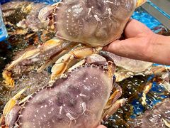 -海月轩海鲜豆捞(紫金塔店)