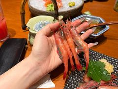 -月龍吟(朝龙汇店)